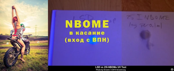 трава Аркадак
