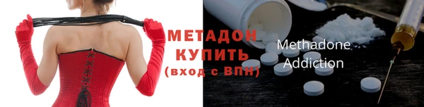 прущие грибы Арсеньев