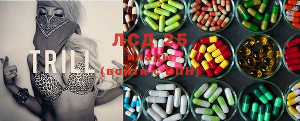 прущие грибы Арсеньев
