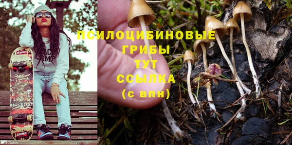 трава Аркадак