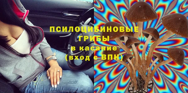 трава Аркадак