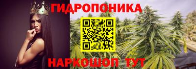 трава Гусь-Хрустальный