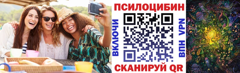 Псилоцибиновые грибы Cubensis Лабинск