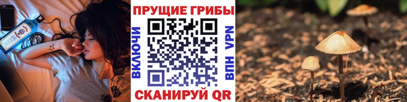 как найти закладки  Лабинск  OMG зеркало  Псилоцибиновые грибы MAGIC MUSHROOMS 