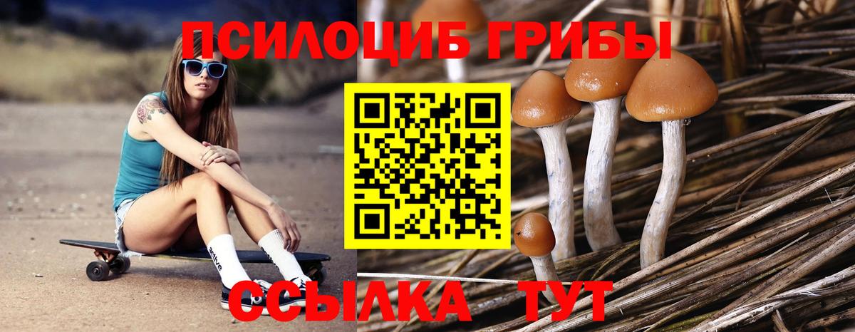 Псилоцибиновые грибы ЛСД  Псилоцибиновые грибы ЛСД  Лабинск  Вход с VPN 